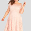 fashionbook wholesale plus size clothing vintage lace skater dress