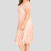 fashionbook wholesale plus size clothing vintage lace skater dress