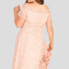 fashionbook wholesale plus size clothing vintage lace skater dress