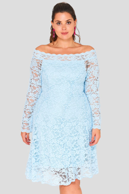 Lace Off The Shoulder Plus Size Wholesale Dress