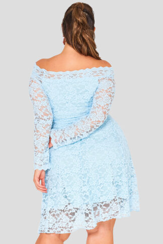 Lace Off The Shoulder Plus Size Wholesale Dress