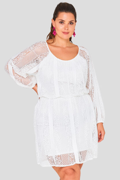 Lace Striped Long Sleeve Plus Size Wholesale Dress