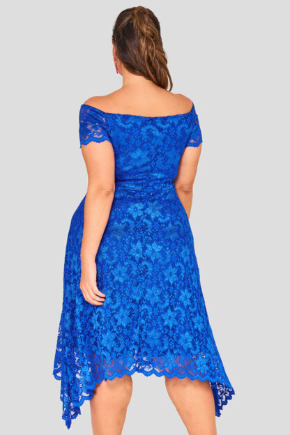 Off The Shoulder Lace Plus Size Wholesale Dress