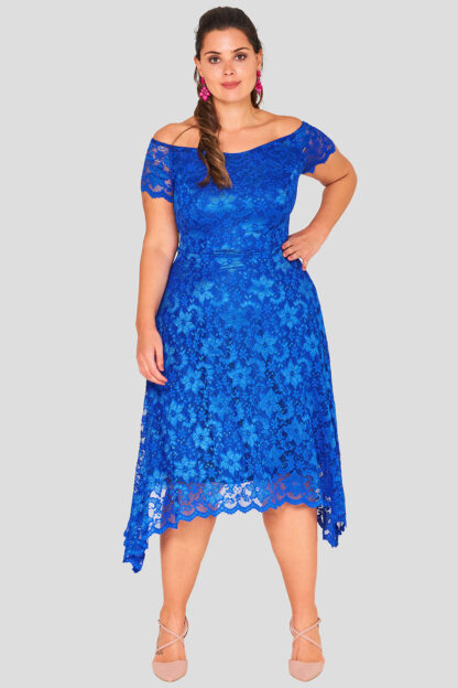 Off The Shoulder Lace Plus Size Wholesale Dress