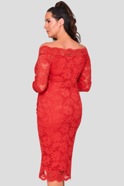 Lace V Off The Shoulder Plus Size Wholesale Dress
